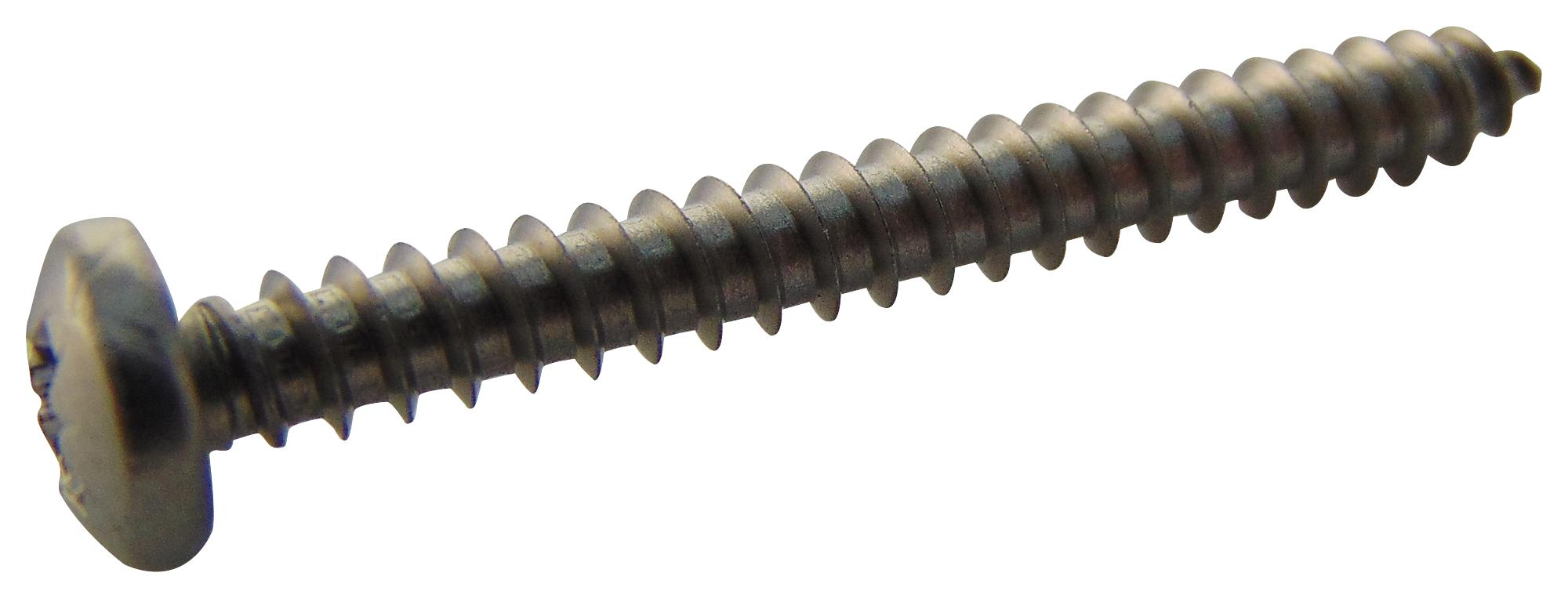 Tr Fastenings N61.250 Pra2Abs100- Screw, Pozi Pan, Steel, A2, 6X1.1/4