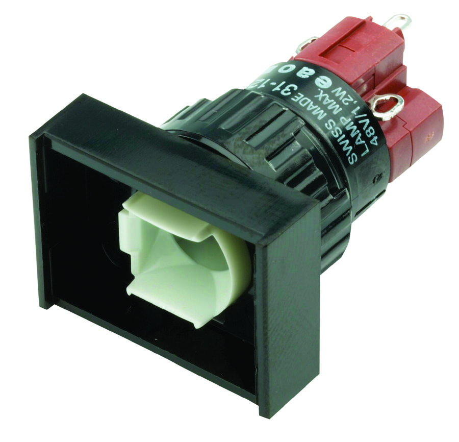 Eao 31-262.025 Switch, Pushbutton, Dpdt, 5A, 250V