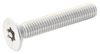 Security Screws