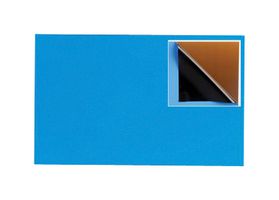 FORTEX FBSS100-1