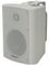 ADASTRA BP4V-W