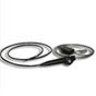 Electronic Endoscope